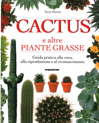 Cactus e altre piante grasse