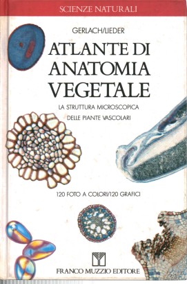 Atlante di anatomia vegetale