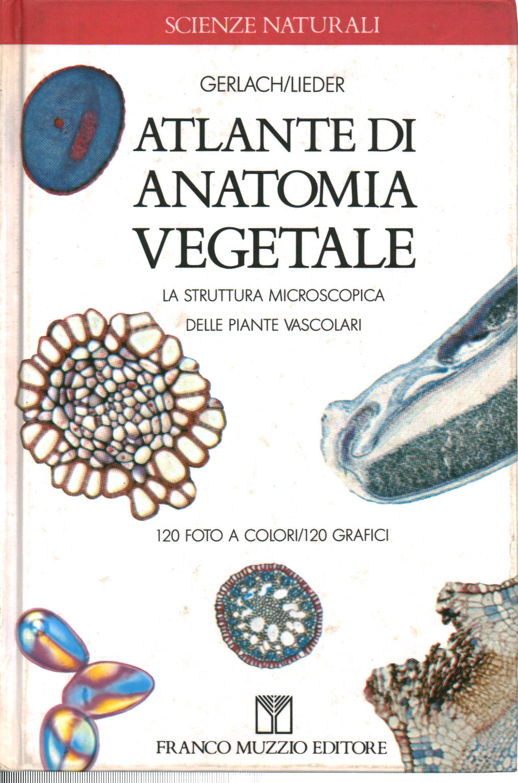Atlas d'anatomie végétale