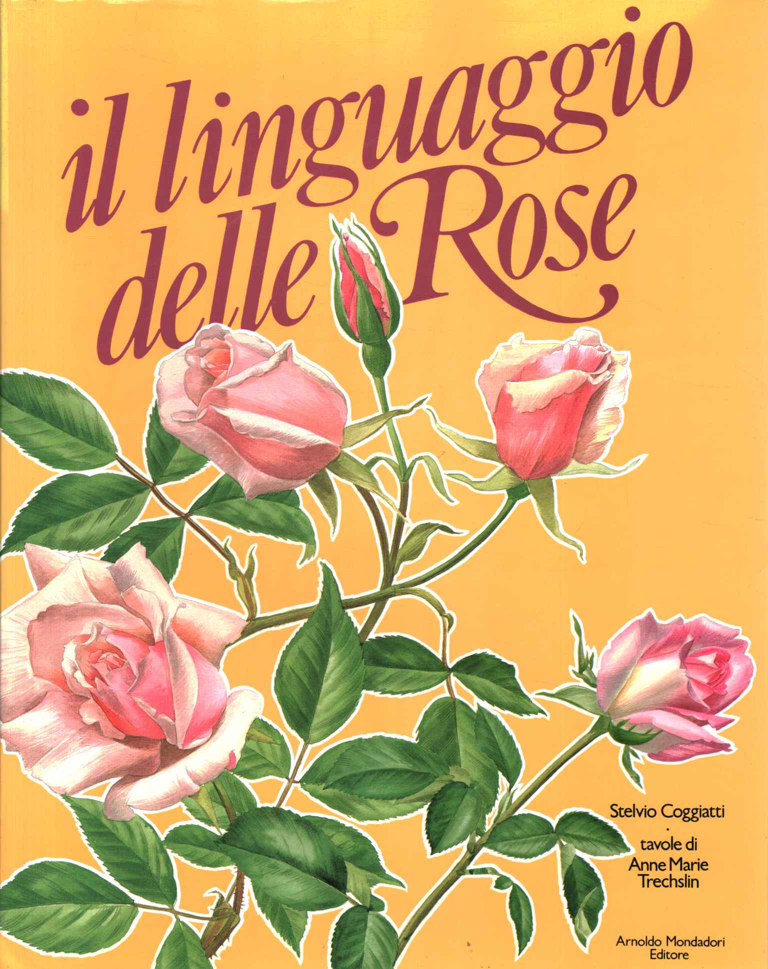 The language of roses