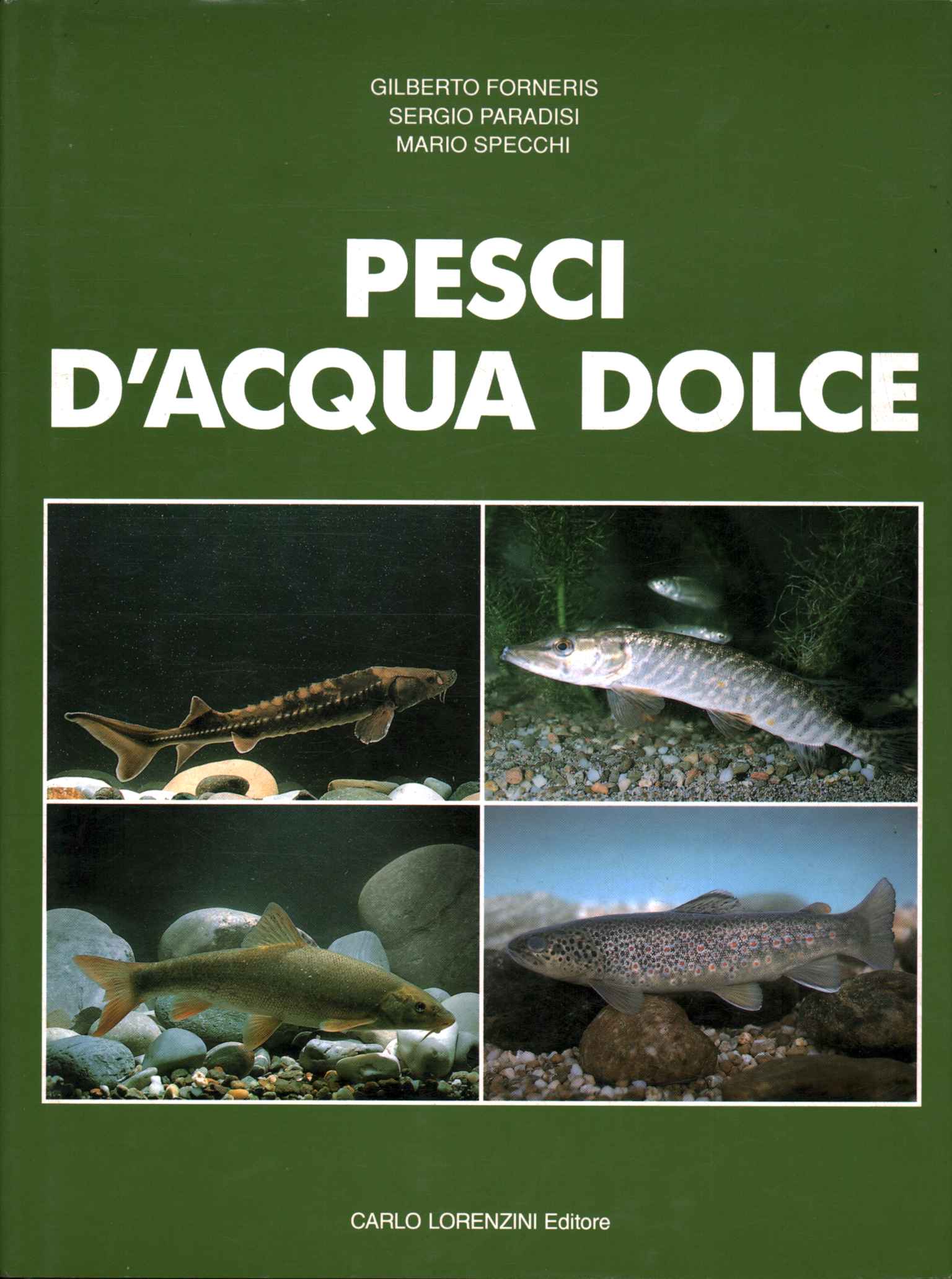 Freshwater Fish (Volume 4)
