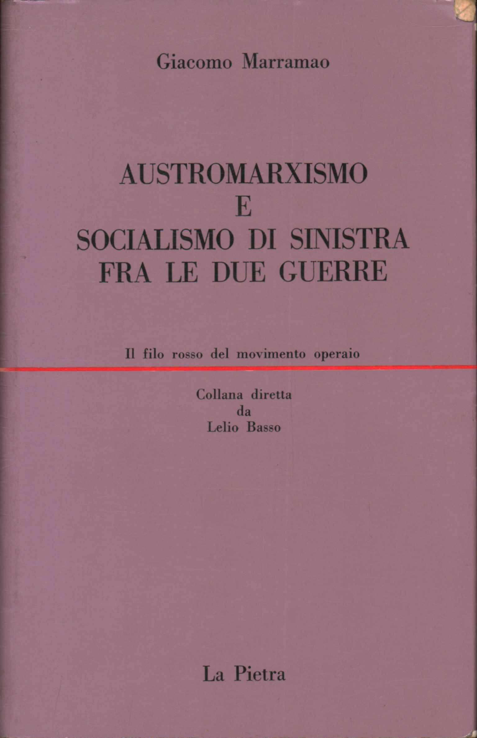 Austro-Marxism and left-wing socialism