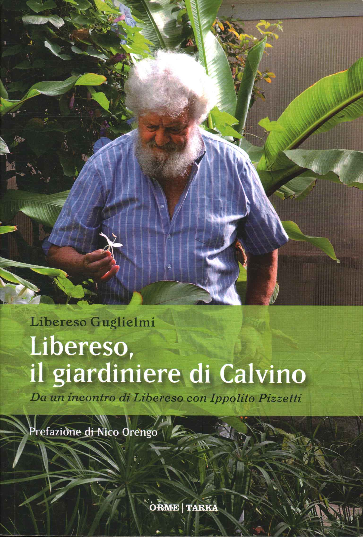 Freeso the gardener of Calvino, Freeso the gardener of Calvino