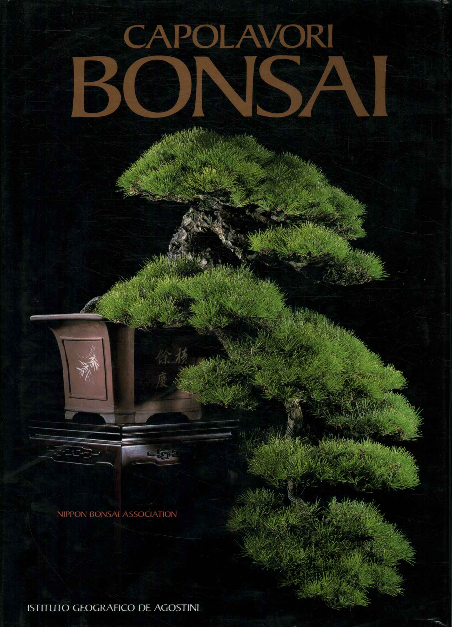 Bonsai-Meisterwerke
