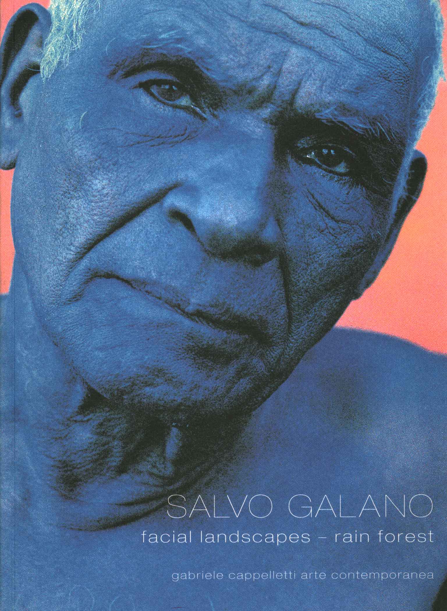 Salvo Galano. Facial landscapes - rain%2