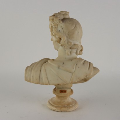 Apollo del Belvedere Busto in Marmo