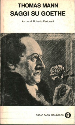 Saggi su Goethe