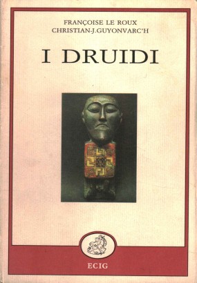 I druidi
