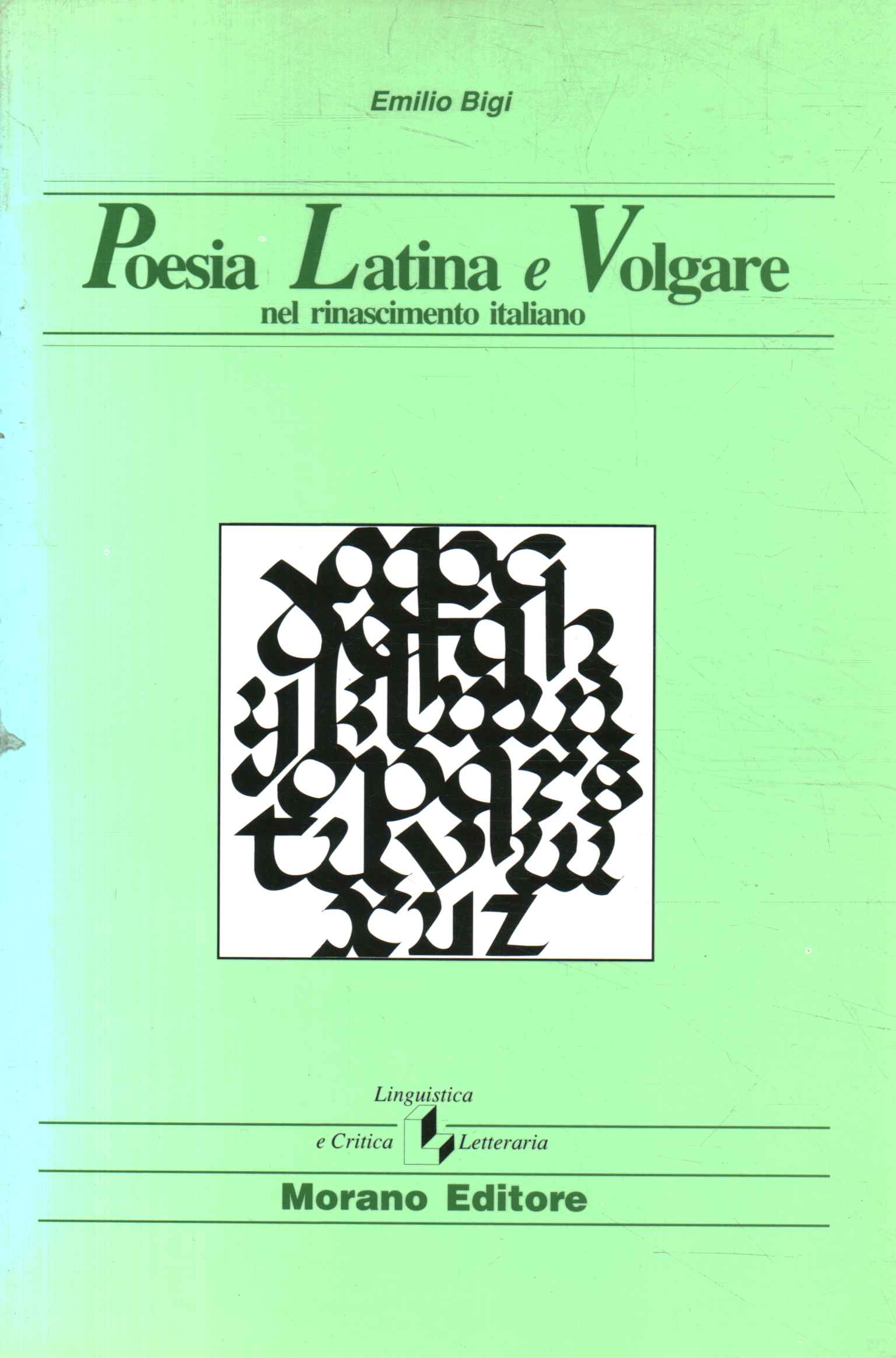 Latin and vernacular poetry in the Renaissance