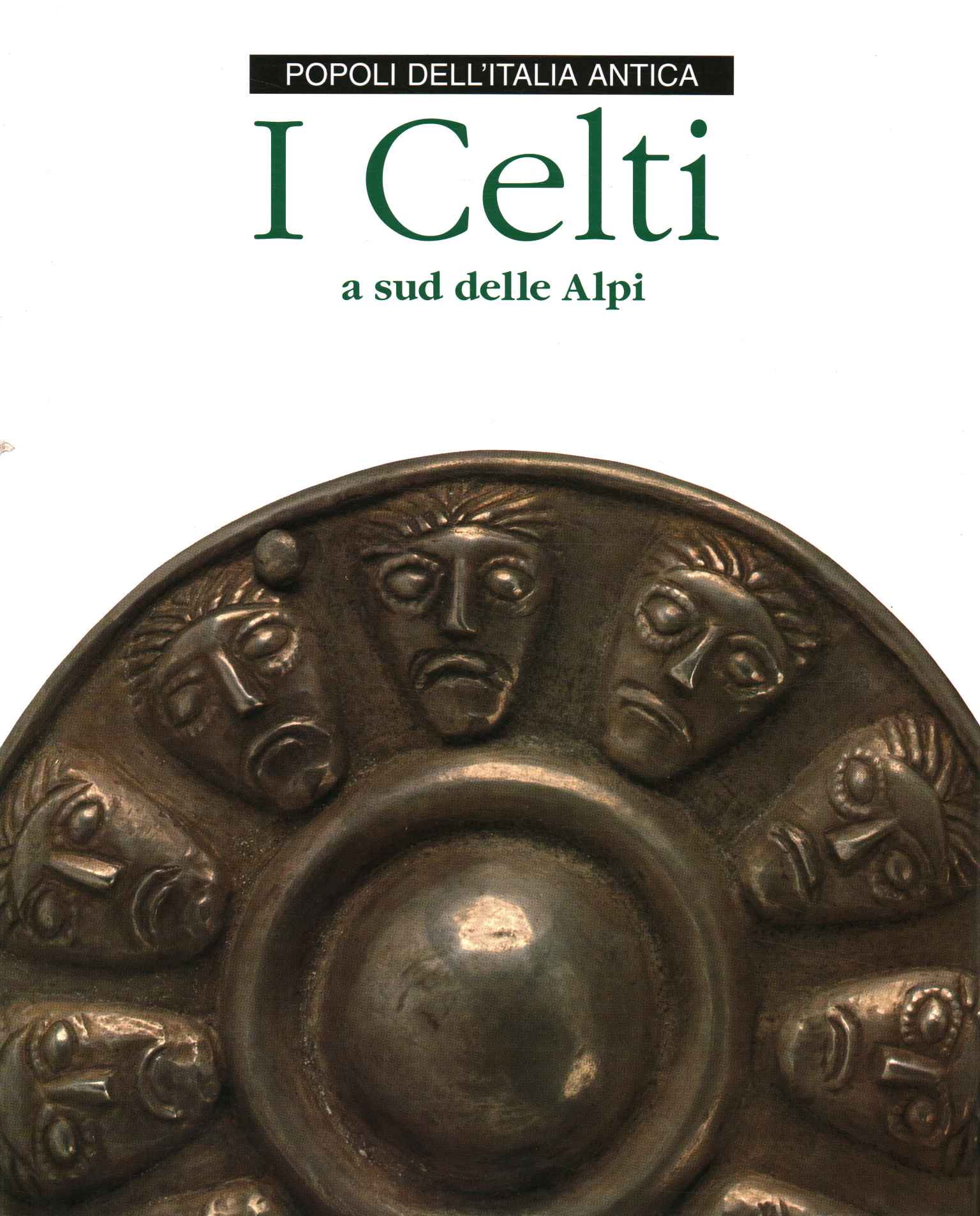 The Celts south of the Alps