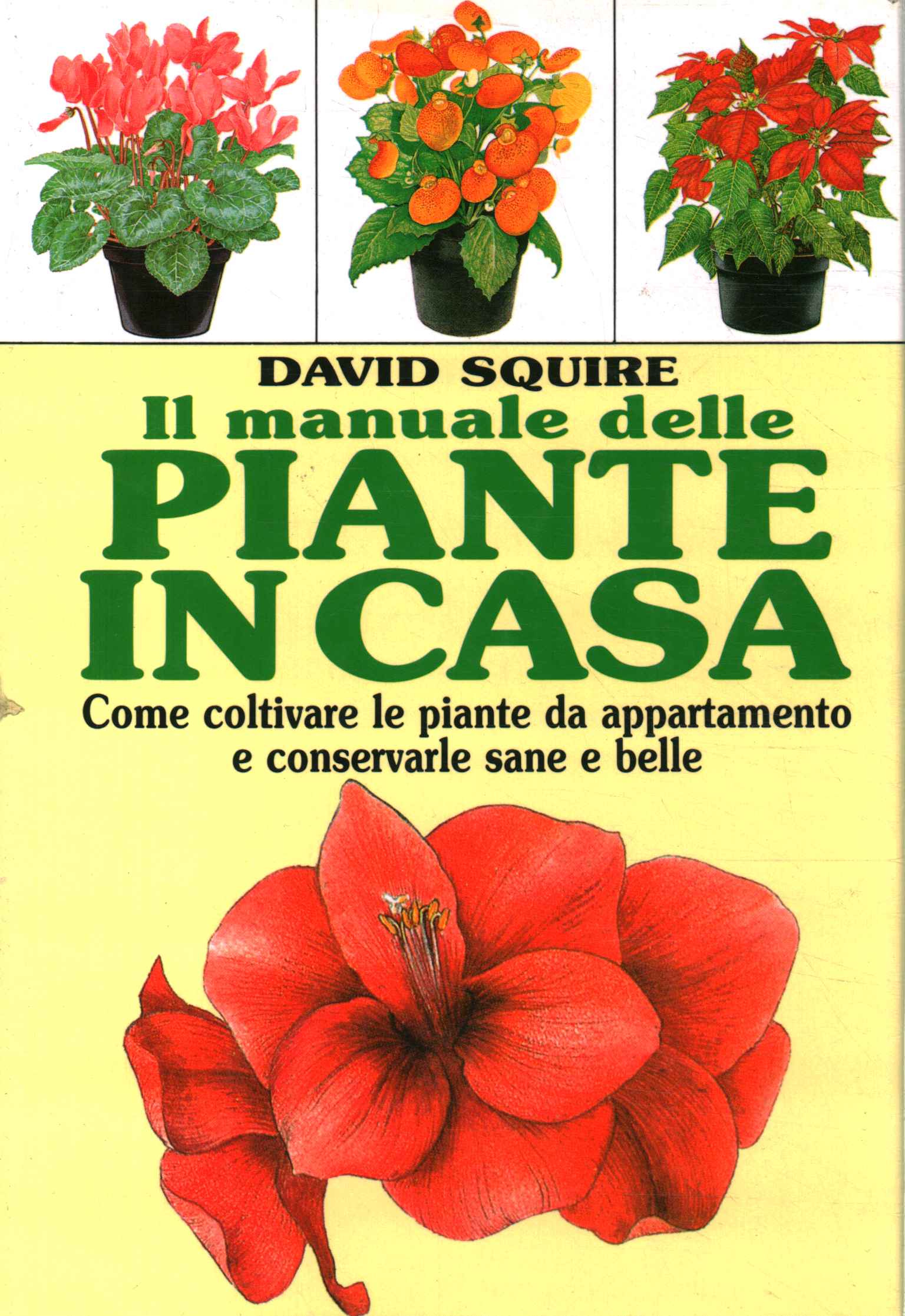 Le manuel des plantes à la maison