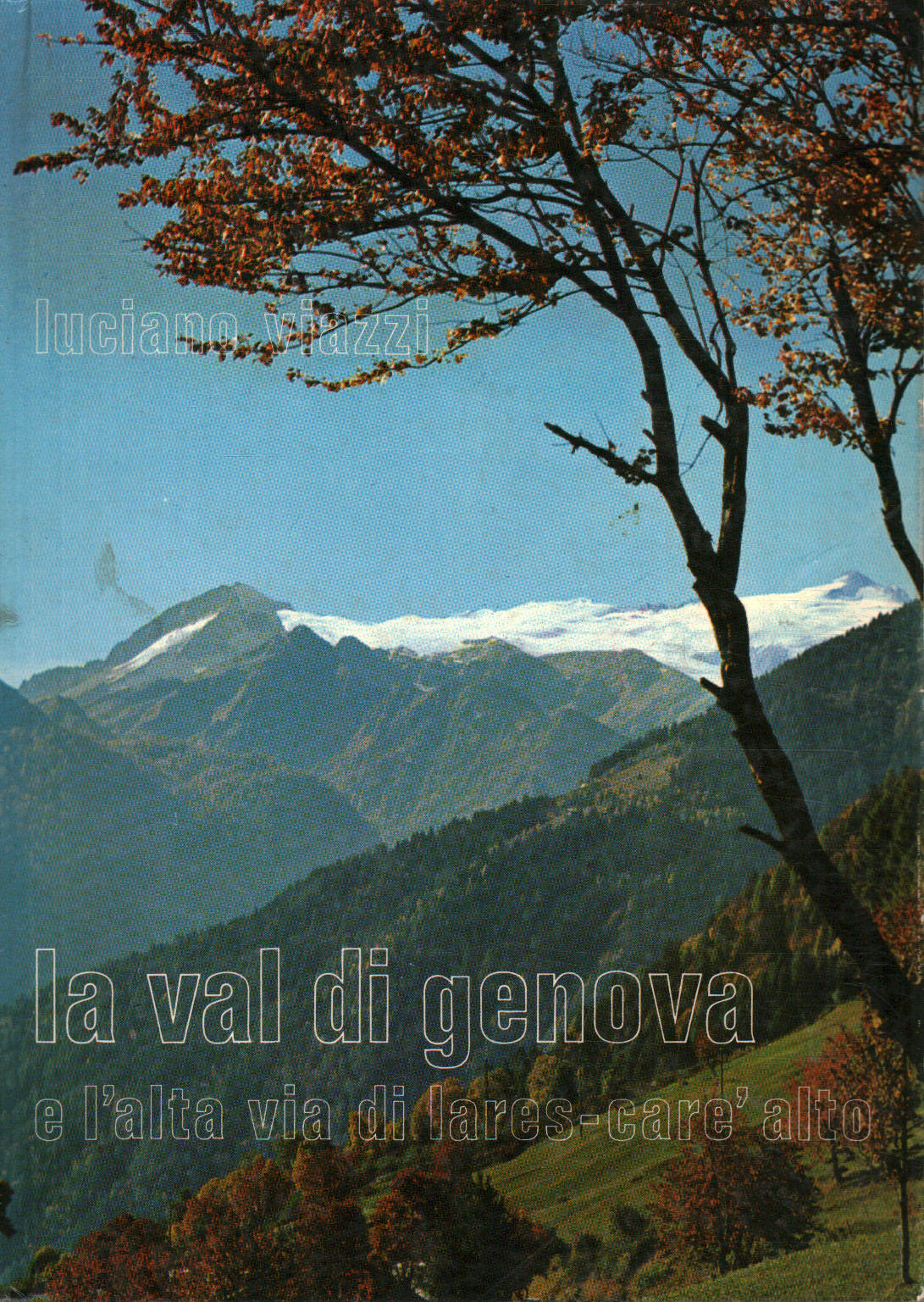 Das Val di Genova und das Alta V